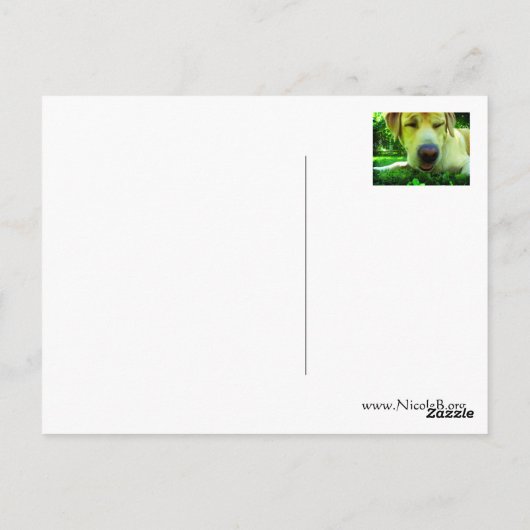 Ich hoffe, es geht dir bald besser! postkarte (Rückseite)