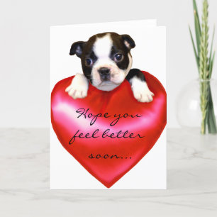 Ich hoffe, es geht dir besser Boston Terrier Grußk Karte