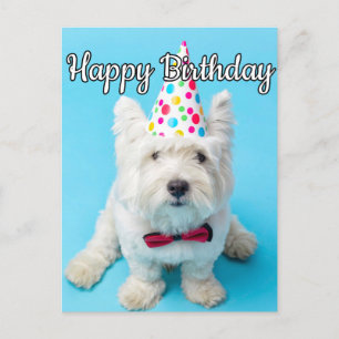 Ich hoffe, Sie haben einen guten Geburtstag Postkarte