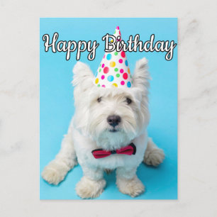 Ich hoffe, Sie haben einen guten Geburtstag Postkarte