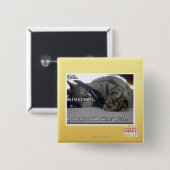 Ich höre button (Vorne & Hinten)