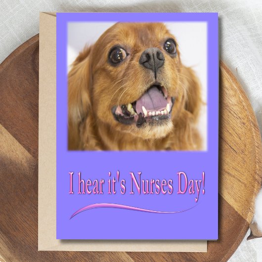 Ich höre, es ist Nurses Day Cavalier King Charles  Karte