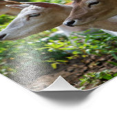 Ich höre Foto (Ecke)