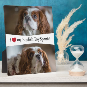Ich höre mein Englisch Toy Spanel Fotoplatte