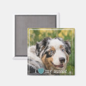 Ich höre meine australische Shepherd-Weiße Grenze Magnet (Vorderseite/Rückseite)