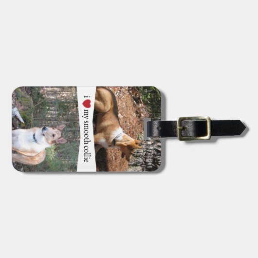 Ich höre meine glatte Kugel Gepäckanhänger (Vorderseite horizontal)