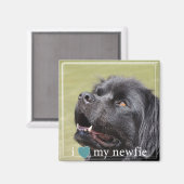 Ich höre meine Neufundland-Weiße Grenze Magnet (Vorderseite/Rückseite)