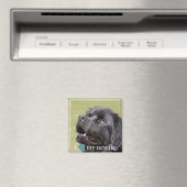 Ich höre meine Neufundland-Weiße Grenze Magnet (In Situ (Geschirrspüler))