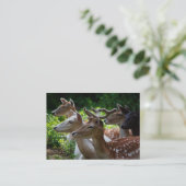 Ich höre Mini Print Visitenkarte (Stehend Vorderseite)