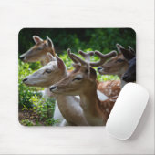 Ich höre Mousepad (Mit Mouse)