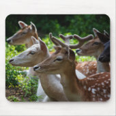 Ich höre Mousepad (Vorne)