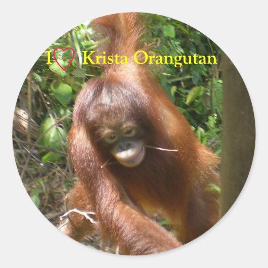 Ich höre Orangutans Runder Aufkleber (Vorderseite)