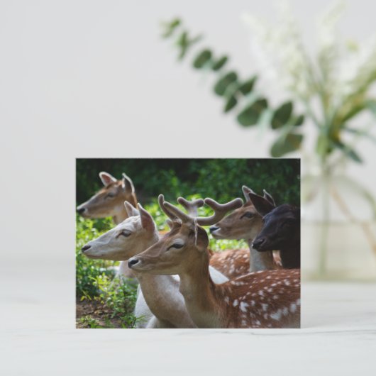 Ich höre Postkarte (Stehend Vorderseite)