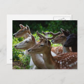 Ich höre Postkarte (Vorne/Hinten)