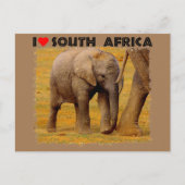 Ich höre Südafrika Elefantenkalb Postkarte (Vorderseite)