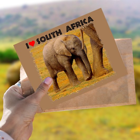Ich höre Südafrika Elefantenkalb Postkarte