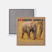 Ich höre Südafrika Elephant calf Magnet (Vorderseite/Rückseite)