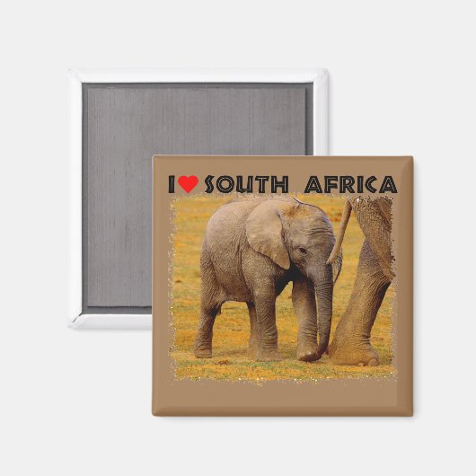 Ich höre Südafrika Elephant calf Magnet (Vorderseite/Rückseite)