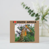 Ich höre Südafrika-Giraffe aloe Postkarte (Stehend Vorderseite)