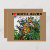 Ich höre Südafrika-Giraffe aloe Postkarte (Vorne/Hinten)