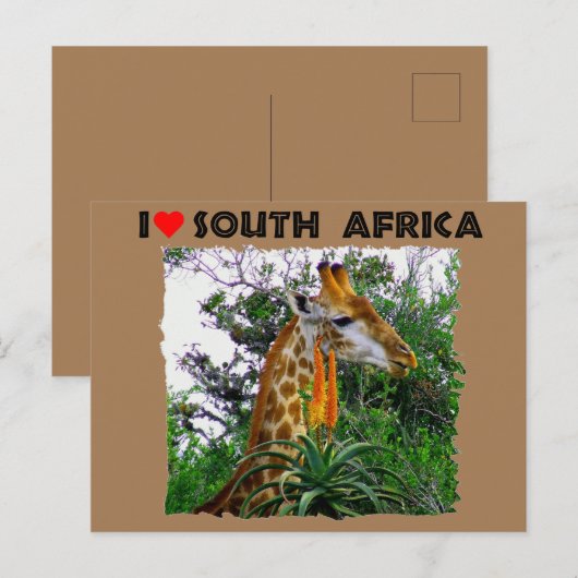 Ich höre Südafrika-Giraffe aloe Postkarte (Vorne/Hinten)