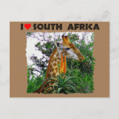 Ich höre Südafrika-Giraffe aloe Postkarte (Vorderseite)