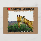 Ich höre Südafrika Giraffe Thorn Postkarte (Vorderseite)