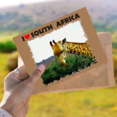 Ich höre Südafrika Giraffe Thorn Postkarte
