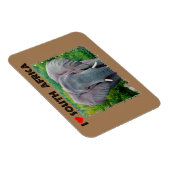 Ich höre Südafrika, junger Elefant Magnet (Rechte Seite)