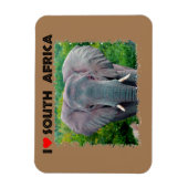 Ich höre Südafrika, junger Elefant Magnet (Vertikal)