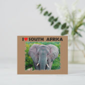 Ich höre Südafrika, junger Elefant Postkarte (Stehend Vorderseite)