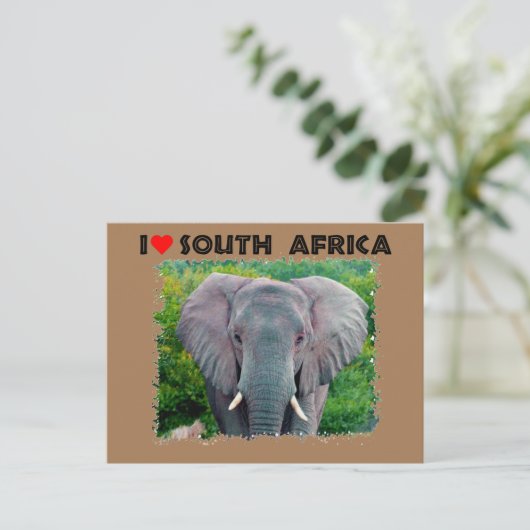 Ich höre Südafrika, junger Elefant Postkarte (Stehend Vorderseite)