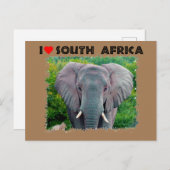 Ich höre Südafrika, junger Elefant Postkarte (Vorne/Hinten)