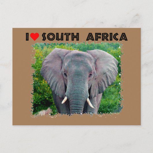 Ich höre Südafrika, junger Elefant Postkarte (Vorderseite)