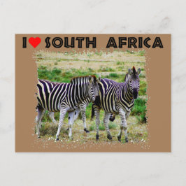 Ich höre Südafrika: junges Zebra-Paar Postkarte