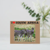 Ich höre Südafrika: junges Zebra-Paar Postkarte (Stehend Vorderseite)