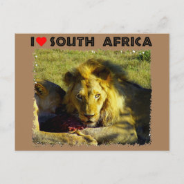 Ich höre Südafrika Löwenstau Postkarte