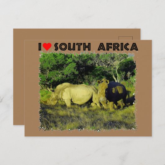Ich höre Südafrika Rhino Couple Postkarte (Vorne/Hinten)