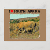 Ich höre Südafrika Rhino unter den Schilden Postkarte (Vorderseite)