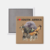 Ich höre Südafrika Wildlife Collage Magnet (Vorderseite/Rückseite)