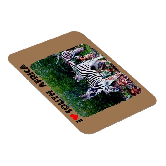 Ich höre Südafrika Zebra Aloe Magnet (Rechte Seite)