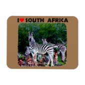 Ich höre Südafrika Zebra Aloe Magnet (Horizontal)