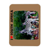 Ich höre Südafrika Zebra Aloe Magnet (Vertikal)