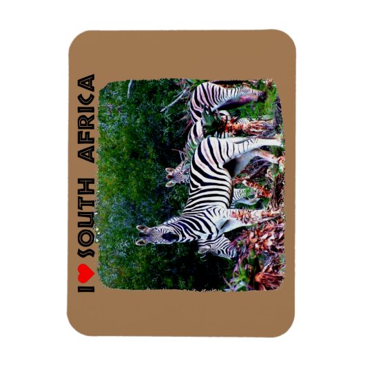 Ich höre Südafrika Zebra Aloe Magnet (Vertikal)