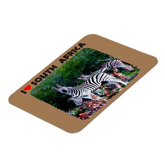 Ich höre Südafrika Zebra Aloe Magnet (Linke Seite)