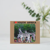 Ich höre Südafrika Zebra Aloe Postkarte (Stehend Vorderseite)