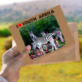 Ich höre Südafrika Zebra Aloe Postkarte