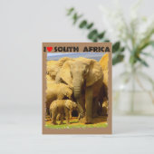 Ich höre Südafrikanische Elefantenmutter und Kalb Postkarte (Stehend Vorderseite)