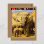 Ich höre Südafrikanische Elefantenmutter und Kalb Postkarte (Vorne/Hinten)