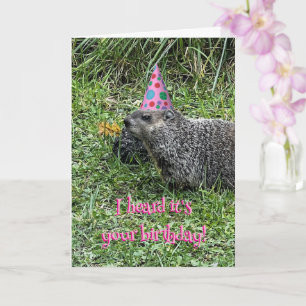 Ich hörte, es ist dein Geburtstag, Groundhog-Karte Karte